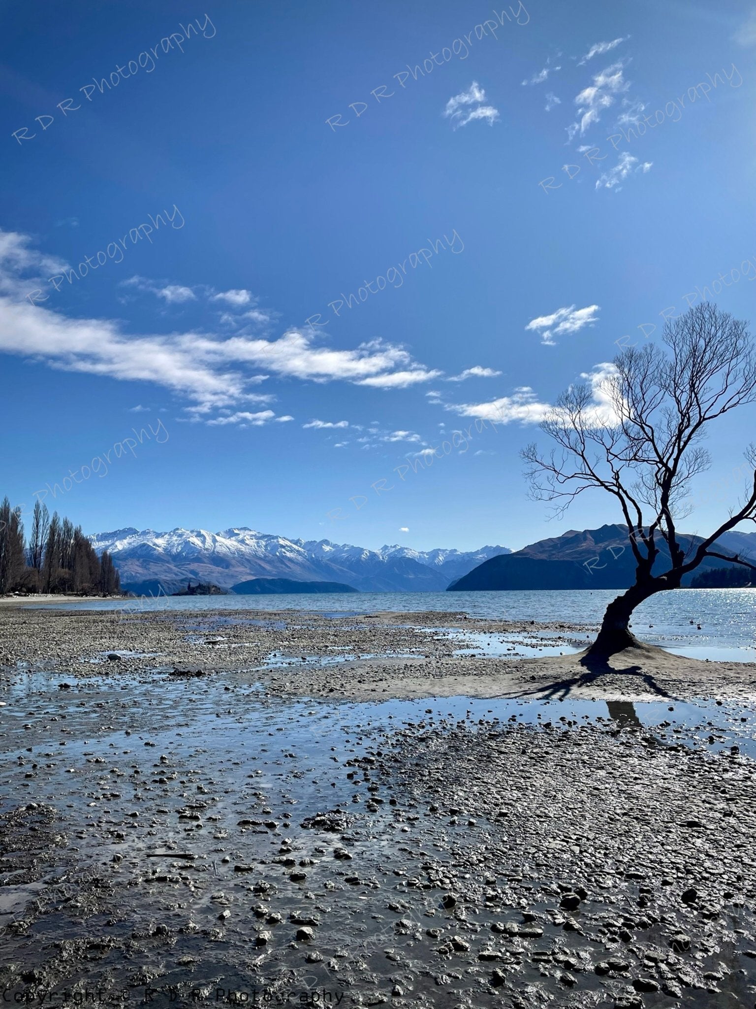 RDR Photography
Lake Wanaka in winter with a wooden jetty, still water, and snow-covered mountains beneath a clear blue sky.