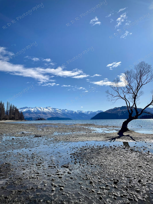 RDR Photography
Lake Wanaka in winter with a wooden jetty, still water, and snow-covered mountains beneath a clear blue sky.